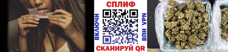 закладки  Комсомольск  Конопля гибрид 